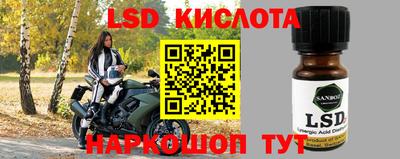 дживик Кимры
