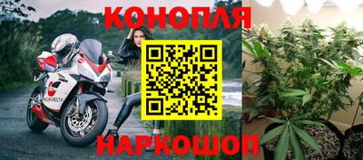 дживик Кимры