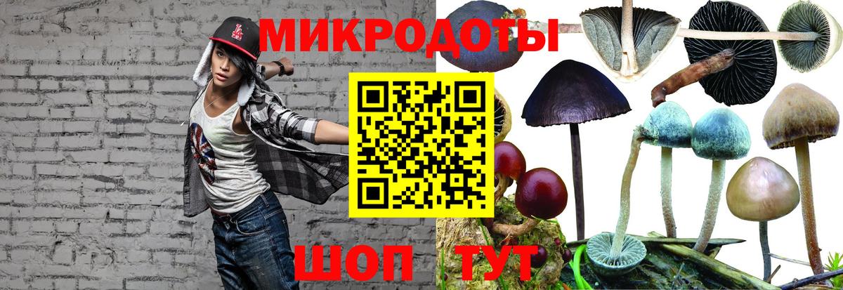 Псилоцибиновые грибы мицелий  Вход с VPN  Щёлково 